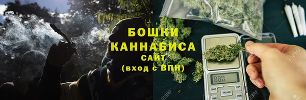твердый Горнозаводск