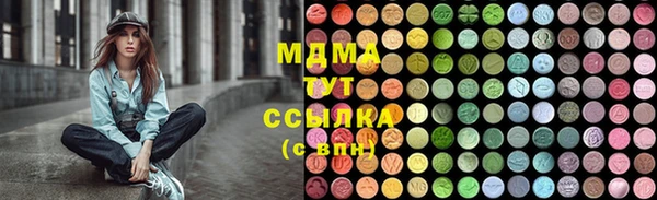 МДПВ Гусев