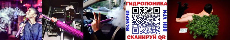 Марихуана сатива  Пятигорск 